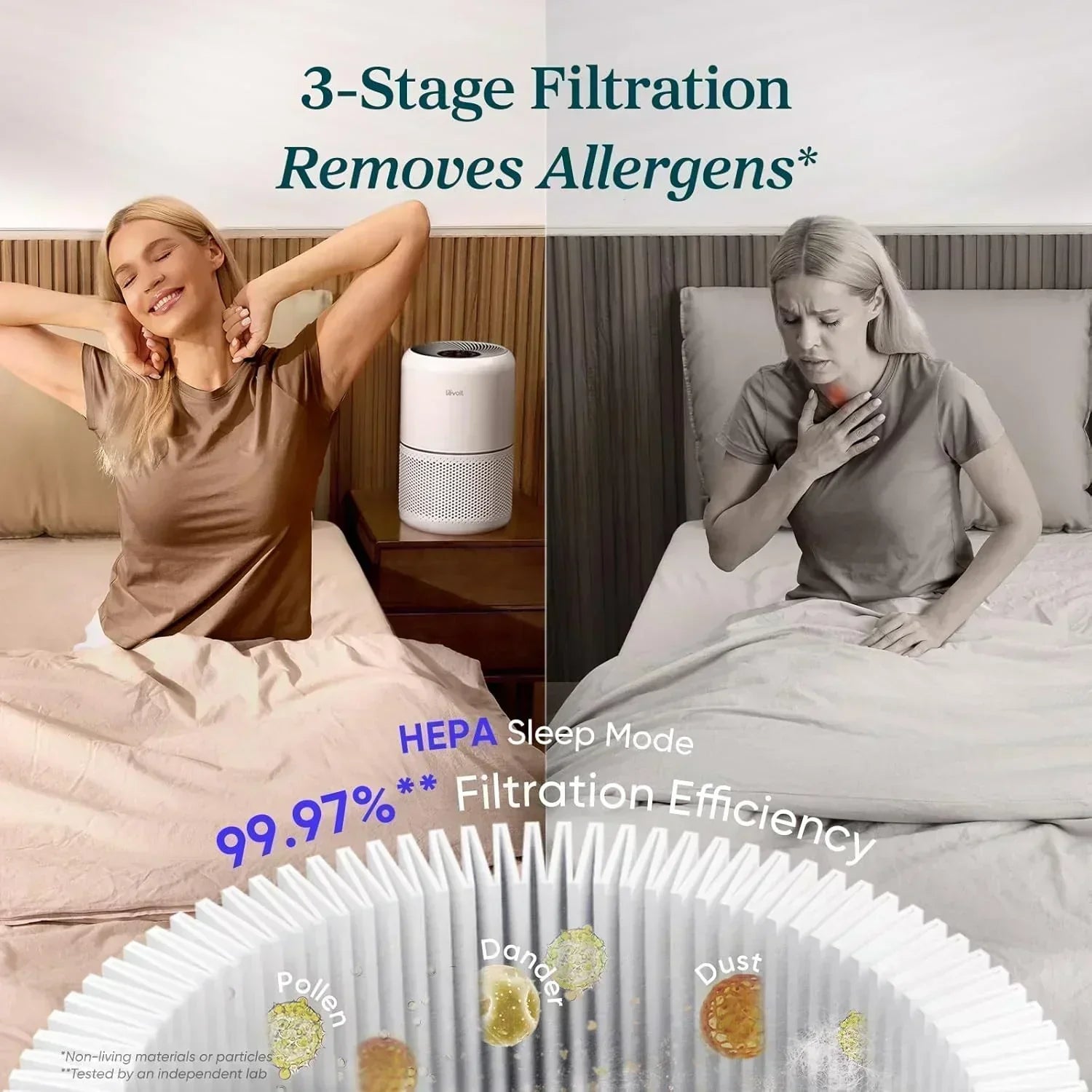 Air Purifier for Bedroom Allergies and Pet Hair 56W High Torque Motor